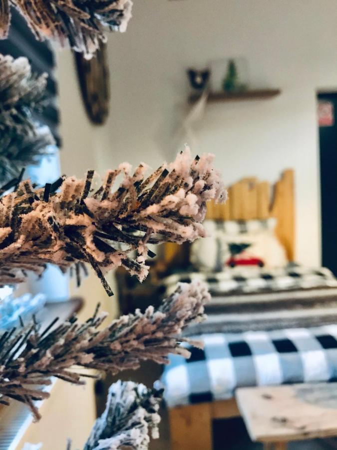 Siedlisko Farmhouse Okszow 외부 사진